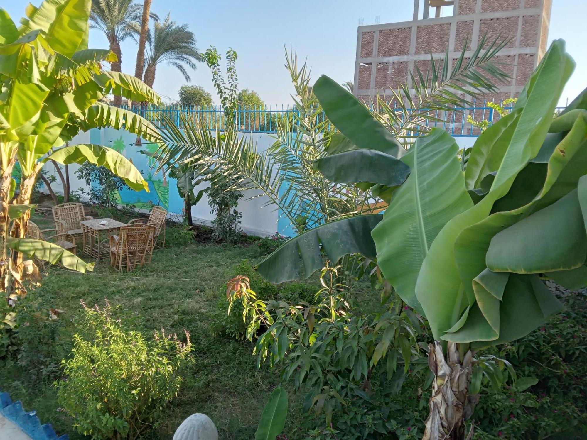 Noby Guest House Luxor Exterior photo